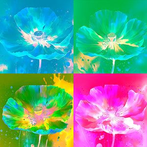 Collage aus 4 Mohnblumen in Neontönen