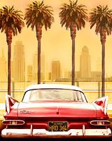PLYMOUTH SAVOY MIT PALMEN