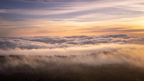Sea of clouds in the Harz Mountains