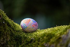 Paasei in een bedje van mos van Stephan Schulz