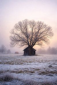 Stille Landschaft im Nebel