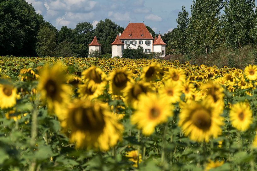 Blutenburg Palace Munich by Peter Schickert