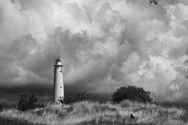 Wasserturm von Schiermonnikoog, schön auf Leinwand, Metall oder Aluminium