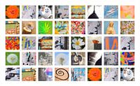 Collage de photos Pays-Bas