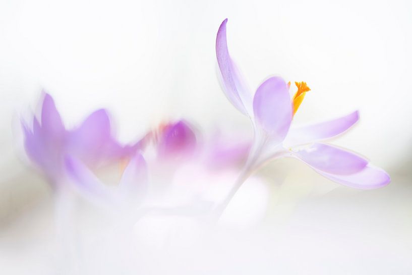 Be lovable by Bob Daalder