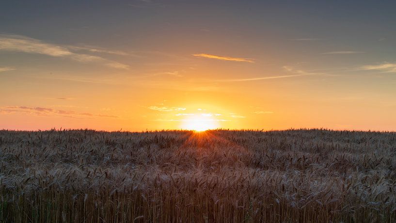 Zonsondergang boven het korenveld van Willemke de Bruin