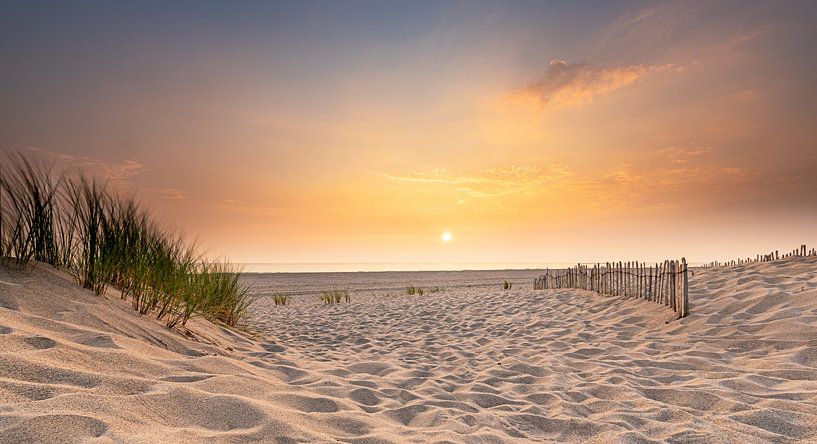 Strand van Jan Koppelaar