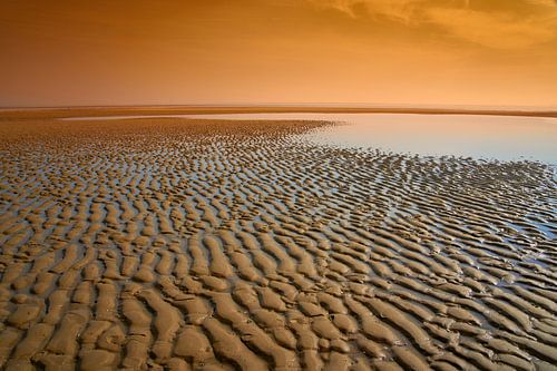 Vagues silencieuses sur Michael Conquet