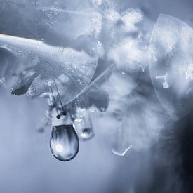 Tropfen im Frühling von natascha verbij