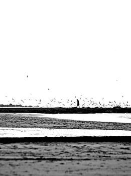 Wandeling op het strand