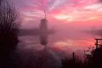 Kinderdijk