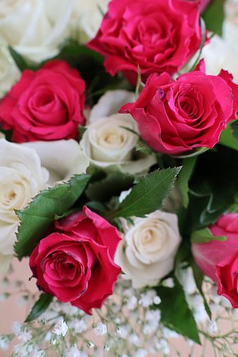 Bouquet de roses roses et blanches