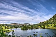 Rydal Water, Lake District par Frans Blok Aperçu