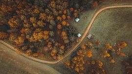 Der Bernsteinbogen von Jochen Fuchs