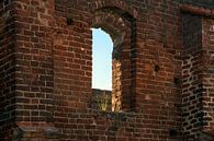 leeg raam met een plukje gras in een stenen muur van de kloosterruïne in Bad Doberan, Noord-Duitslan van Maren Winter thumbnail