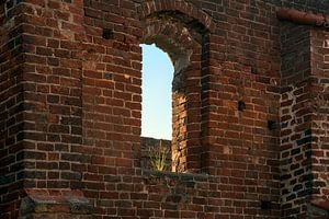 fenêtre vide avec une touffe d'herbe dans un mur de briques de la ruine d'un monastère à Bad Doberan sur Maren Winter