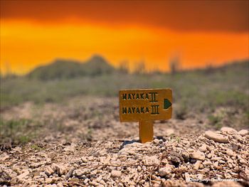 Bonaire in der Abenddämmerung