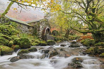 Borrowdale Lake District van Sander Groenendijk