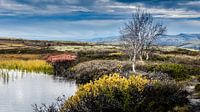 A mountain range in Rondane. Norway.
