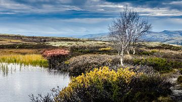 Een bergketen in Rondane. Noorwegen. van Peter Jacek