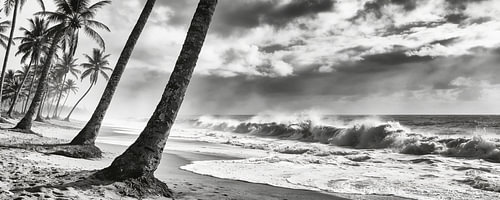 Littoral