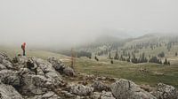 Mist über Velika Planina von Paulien van der Werf Miniaturansicht