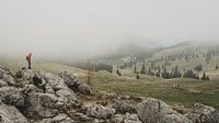 La brume tire sur Velika Planina
