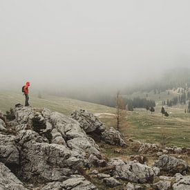 Mist over Velika Planina by Paulien van der Werf