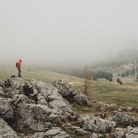 Mist trekt over Velika Planina van Paulien van der Werf