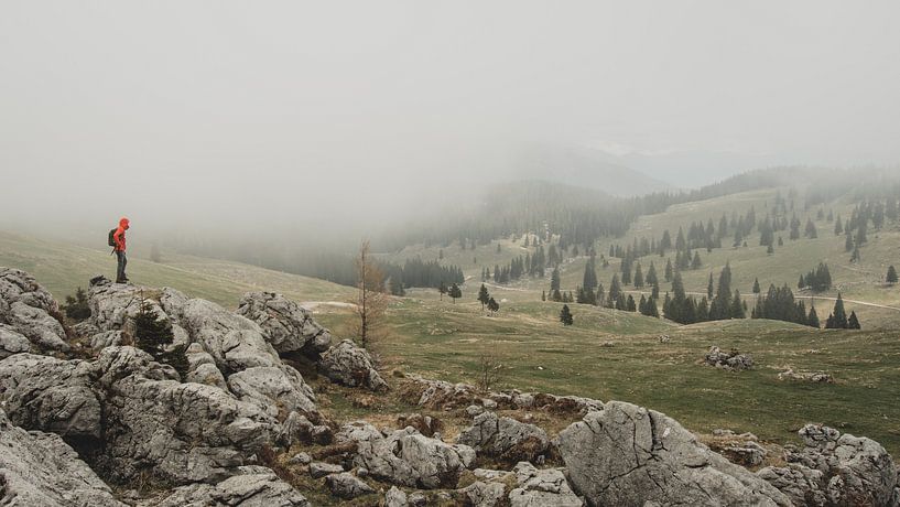 La brume tire sur Velika Planina par Paulien van der Werf