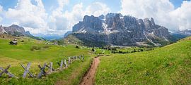Wanderweg am Grödnerjoch mit Blick auf Sella und Mittagstal von SusaZoom