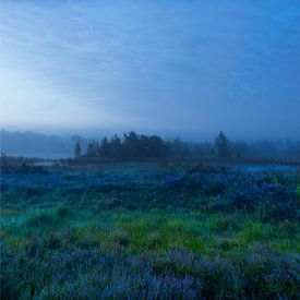 Lever de soleil brumeux sur les landes violettes sur Stephan Krabbendam