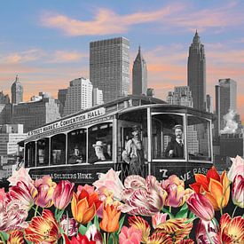 The 8:15 to Botany Bay von Marja van den Hurk