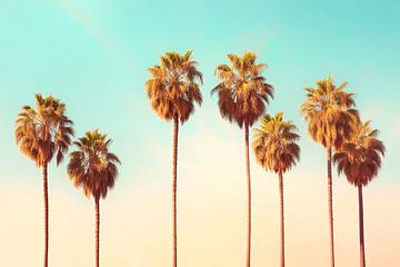 Hollywood Palmen van Philippe HUGONNARD