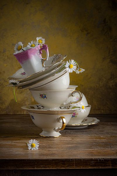 Voorjaarsschoonmaak van Clazien Boot