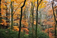 herfst