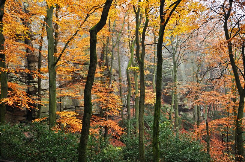 herfst by Lars Veerhoff