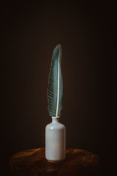 Featherlight by Corinne Jansen-Vulders