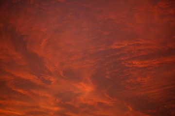 Fiery red cloudy sky, dawn red