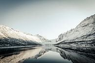 Gryllefjord Panoramablick während eines schönen Wintertages von Sjoerd van der Wal Fotografie Miniaturansicht