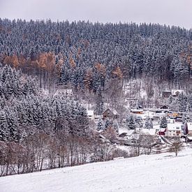 Eerste winterwandeling door het besneeuwde Thüringer Woud bij Tambach-Dietharz - Thüringen - Duitsland van Oliver Hlavaty