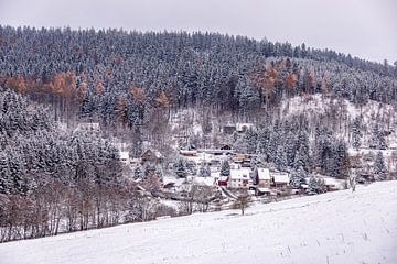 Eerste winterwandeling door het besneeuwde Thüringer Woud bij Tambach-Dietharz - Thüringen - Duitsland van Oliver Hlavaty