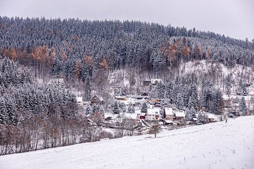 Eerste winterwandeling door het besneeuwde Thüringer Woud bij Tambach-Dietharz - Thüringen - Duitsland