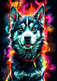 Siberische Husky aquarel neon