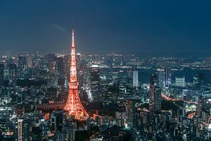 Tokyo Turm (Teil 2) von Maarten Mensink