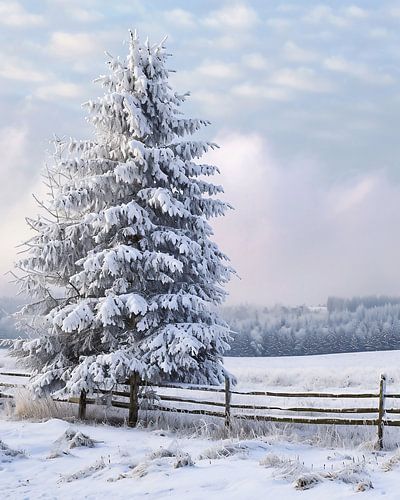 Romantic winter landscape