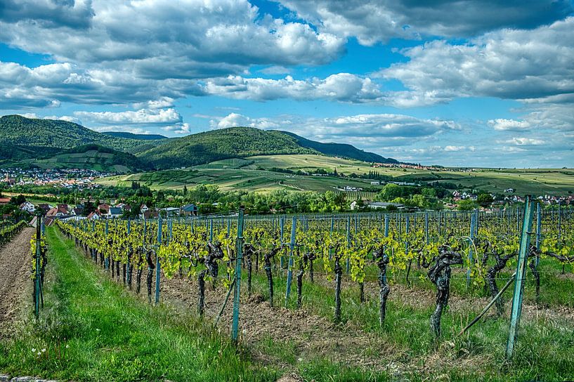 Route des vins allemande par Tobias Rühling