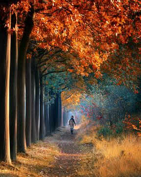 Ein Spaziergang im Wald von Niels Tichelaar