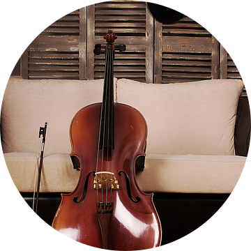 De Cello van Dick Carlier