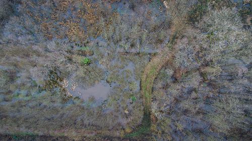 Volg de weg tussen de bomen